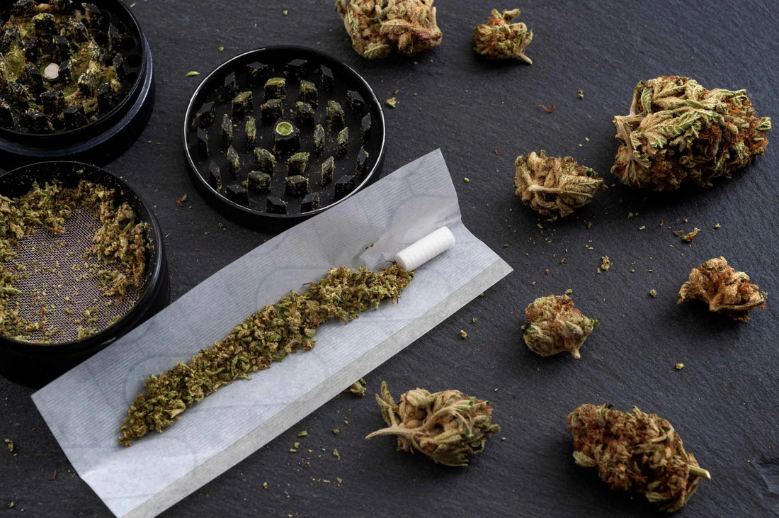 What Makes Organic THCA Buds Superior in Taste
