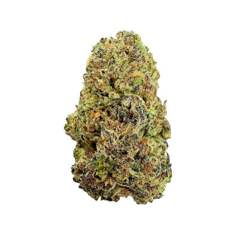Government Oasis *Small Buds*