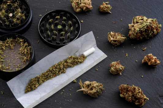 What Makes Organic THCA Buds Superior in Taste