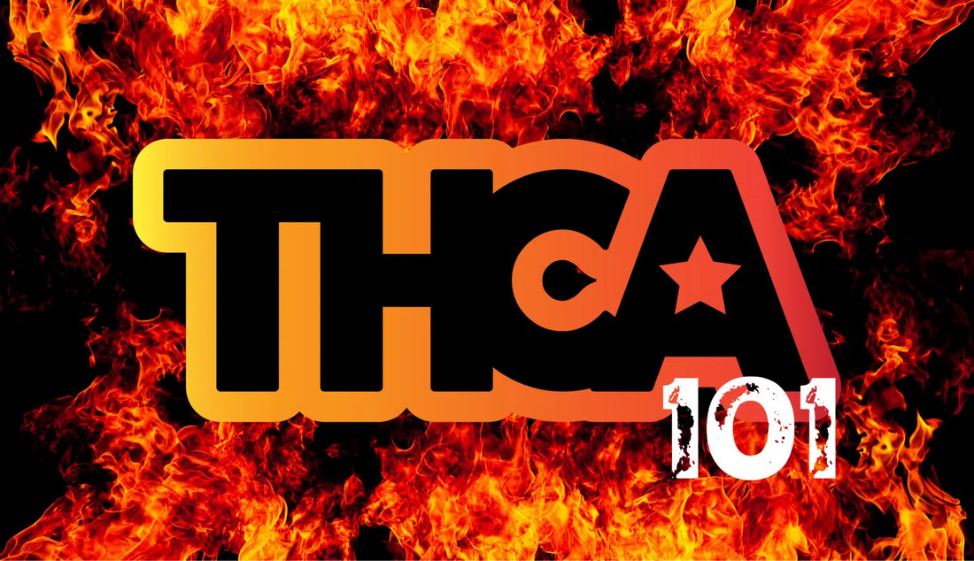 THCA Flower 101: Instantly Spot Top-Shelf Buds Like a Pro