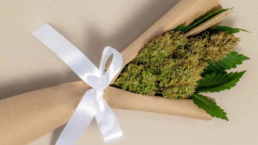 5 Signs You're Holding Premium THCA Flower