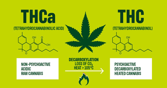 THCA vs. THC: Which is Better for Relaxation?