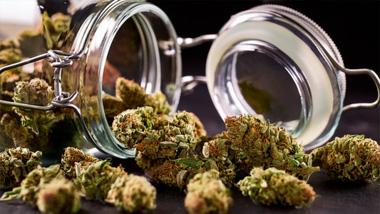 Why Pesticide-Free THCA Makes a Difference
