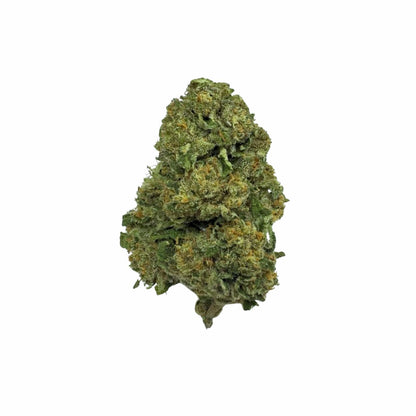 El Chivo *Small Buds* – Super Discounted Ounce