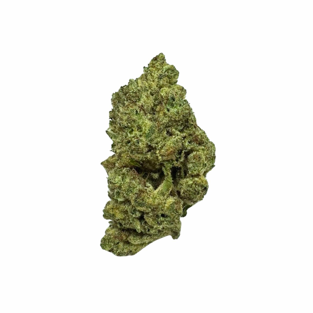 GV1 (Zkittlez Cross; Ultra-Limited) *Goldy's Exclusive - only 5 lbs released*