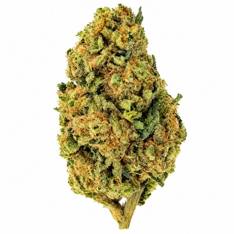 Legend OG