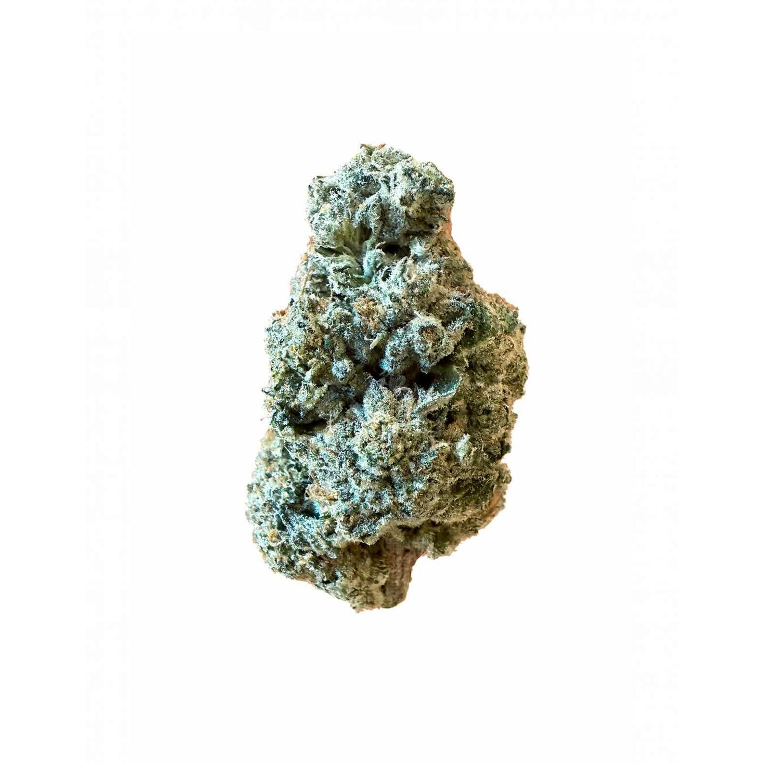Mule Fuel: Potent Indica Hybrid Experience