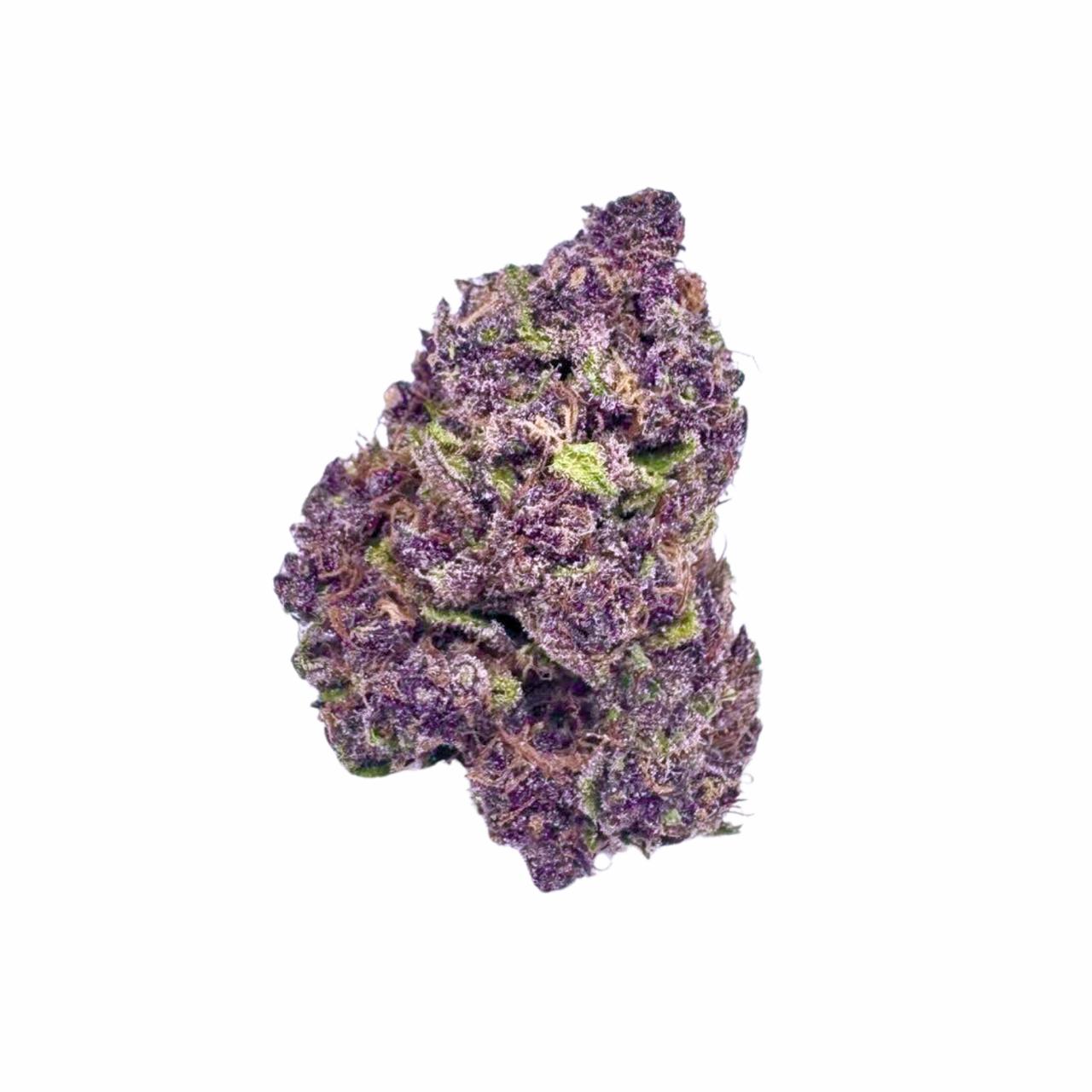 Tropical Cherry *Just Dropped*