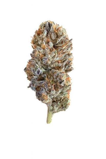 Applescotti Vault Reserve Can – 7g