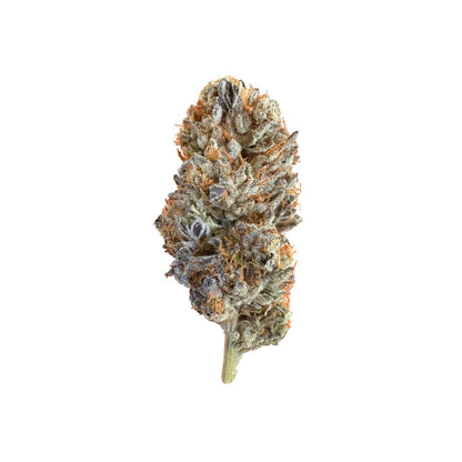 Applescottie *Small Buds* – Super Discounted Ounce