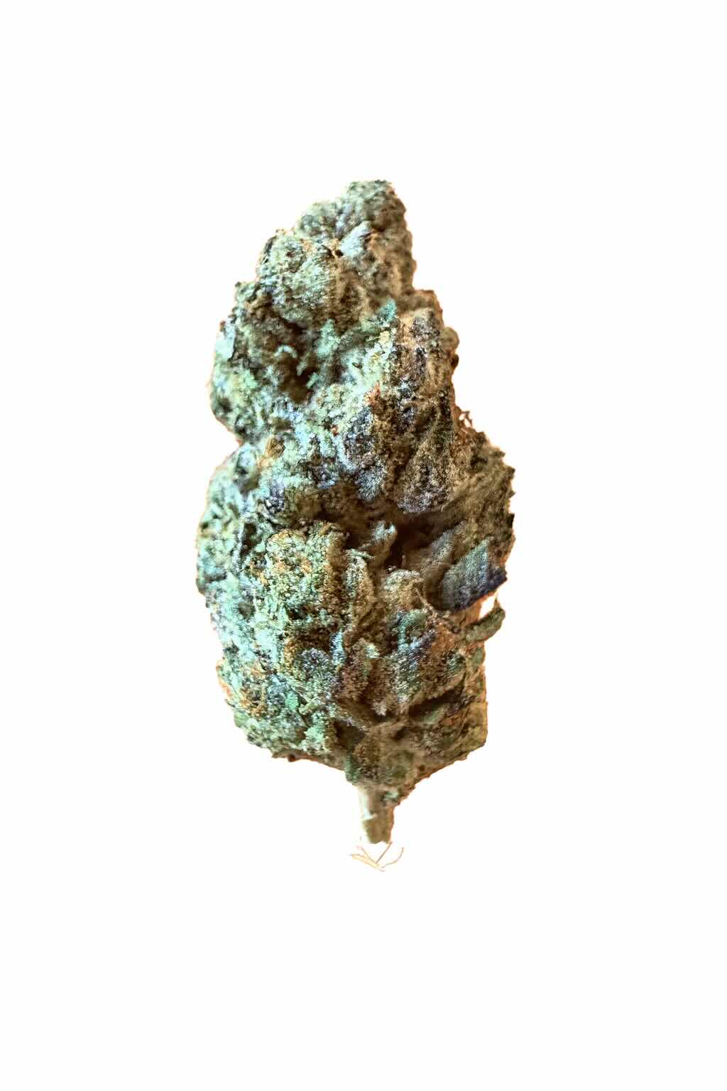Banana Punch