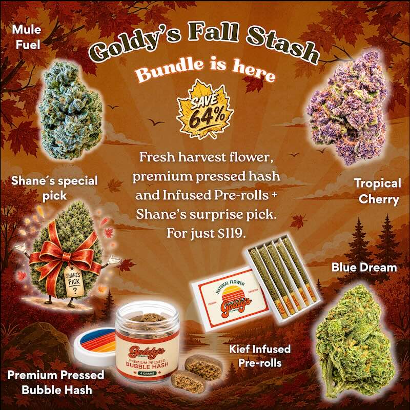 Goldy's Fall Stash Bundle