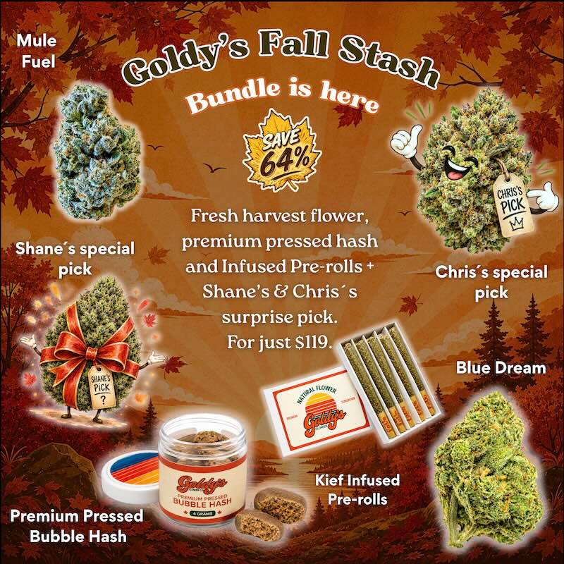Goldy's Fall Stash Bundle