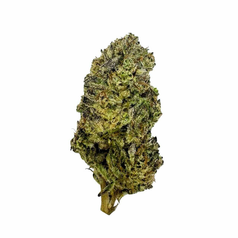 Hash Burger: Potent Indica Hybrid from Goldysflower