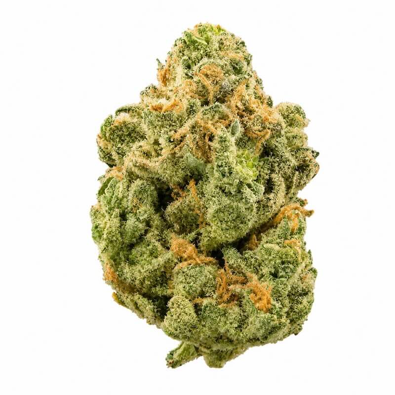 Purple Sunset in Wholesale
