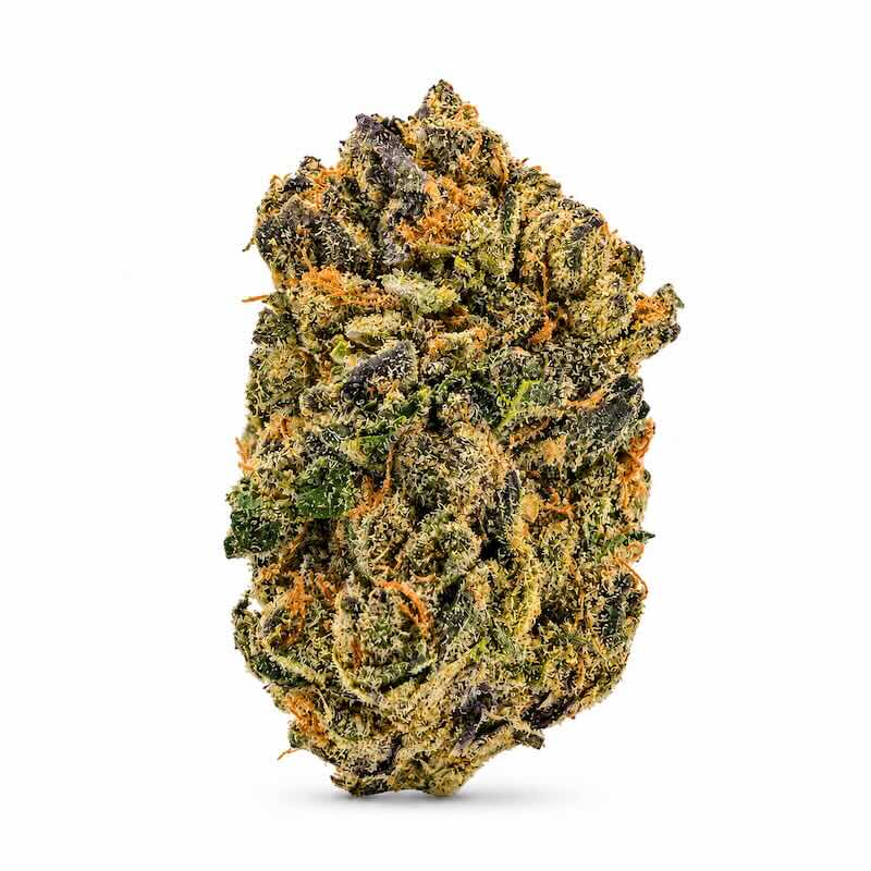 Velvet Funk in Wholesale