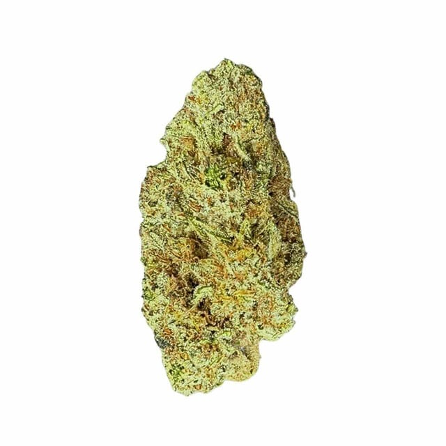 White Mango (Berry White cross; Goldy’s Exclusive)